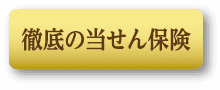 徹底の当せん保険